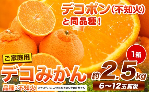 ご家庭用 デコみかん 約2.5kg 6～12玉前後《2026年2月上旬-4月末頃出荷》デコポン（不知火）と同品種 熊本県産 熊本県 長洲町 訳あり