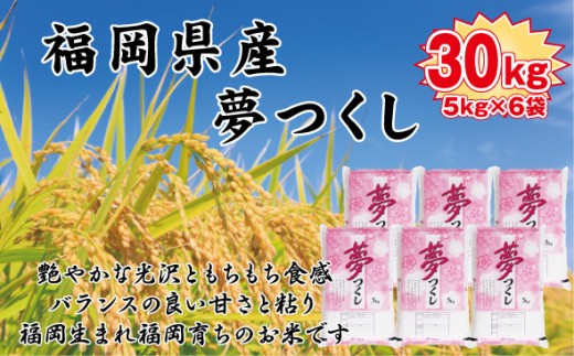 【令和7年産新米予約】【食味鑑定士厳選】福岡県産 夢つくし30kg (5kg×6袋) 2192282 - 福岡県大川市