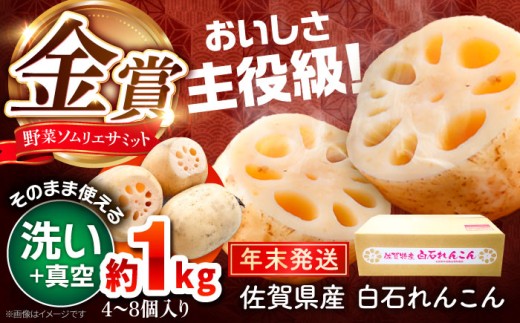【先行予約】【年末発送】【真空れんこん】＜野菜ソムリエサミット金賞受賞＞松尾青果のこだわり白石れんこん 約1kg （4-8個入り）【松尾青果】 佐賀県産 農家直送 直送 白石れんこん レンコン 蓮根 根菜 野菜 白石町産 高品質 九州 佐賀県 白石町 [IBD018] 2088565 - 佐賀県白石町