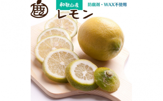 ＜先行予約＞厳選 黒潮レモン 2.5kg+250g（傷み補償分）【和歌山有田産】【防腐剤・WAX不使用、安心の国産レモン】 ※北海道・沖縄・離島への配送不可 /レモン れもん 柑橘 フルーツ 果物 果実 【ikd136B】 2191379 - 和歌山県由良町