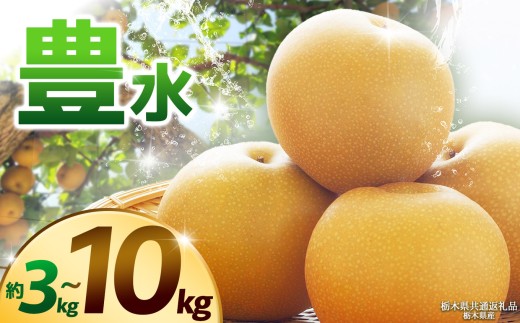 [栃木県共通返礼品][2025年先行予約][選べるグラム数][選べる発送時期]豊水 約3kg 5kg 10kg | 梨 なし ナシ 新品種 先行予約 大粒 新鮮 甘い 美味しい 果物 くだもの フルーツ ふるーつ 共通返礼品 フルーツ デザート 栃木県 那珂川町