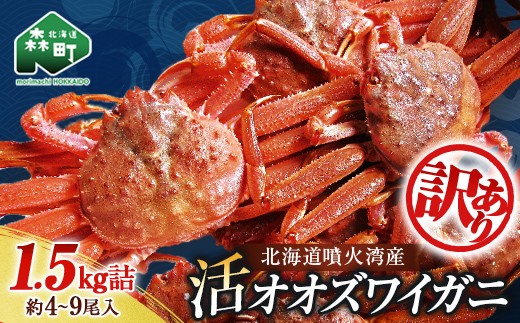 【訳あり】北海道噴火湾産 活オオズワイガニ1.5kg ＜道産ネットミツハシ＞ かに カニ 蟹 ガニ がに 森町 ふるさと納税 北海道 ずわいがに mr1-0601-5