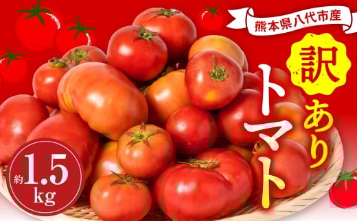 【訳あり】熊本県八代市産 規格外トマト 約1.5kg トマト 野菜