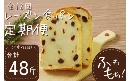 12回定期便 レーズン食パンセット[室戸海洋深層水仕込み] 4斤×12回 食パン もちもち ぱん 北海道産小麦使用 朝食 ギフト 定期便 人気 食事パン おやつ レーズン ぶどう ドライフルーツ 頒布会