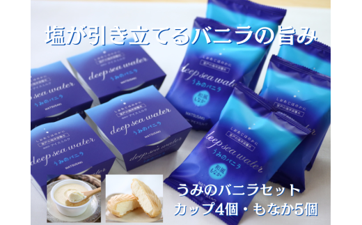 室戸海洋深層水使用の塩バニラ最中&カップアイス9個セット
