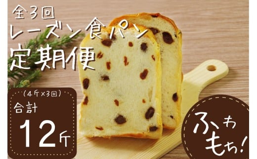 3回定期便 レーズン食パンセット[室戸海洋深層水仕込み]4斤×3回 食パン もちもち ぱん 北海道産小麦使用 朝食 ギフト 定期便 人気 食事パン おやつ レーズン ぶどう ドライフルーツ 頒布会