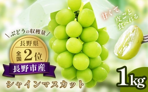※収穫量の出典元:農林水産省「令和6年産都道府県別の結果樹面積、10a当たり収量、収穫量及び出荷量」