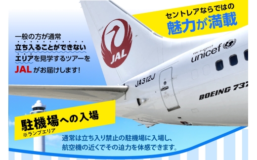 愛知県常滑市のふるさと納税 JAL 中部国際空港 セントレア 見学ツアー 2025年11月29日開催予定！