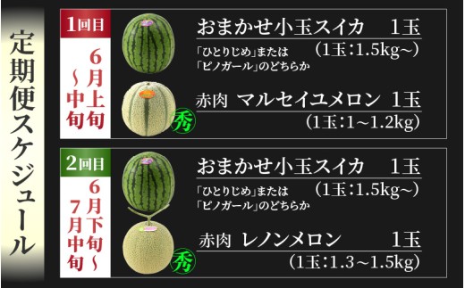 福井県あわら市のふるさと納税 【先行予約】《定期便全2回》スイカとメロン大好きな人集まれ！第2弾！（小玉スイカ・マルセイユメロン・赤肉レノンメロン）計4玉 農家直送 秀品 お届け！/ フルーツ くだもの 果物 贈答 特産 旬 夏  完熟 すいか メロン 朝どれ 美味しい お取り寄せ 野菜 ※2026年6月上旬より順次発送 [aw069-b003]