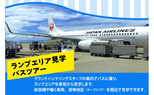 愛知県常滑市のふるさと納税 JAL 中部国際空港 セントレア 見学ツアー 2025年11月29日開催予定！