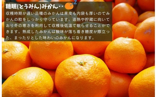 和歌山県有田川町のふるさと納税 ［先行予約］訳あり それでも 熟成みかん 箱込2.5kg ( 内容量 2.3kg ) サイズミックス Ｂ品 有田みかん 和歌山県産 産地直送 家庭用 【みかんの会】