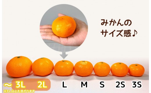 和歌山県有田川町のふるさと納税 熟成 みかん とにかく 大玉 箱込5kg ( 内容量 4.4kg )2Lサイズ以上 秀品 優品 混合 有田みかん 和歌山産 産地直送 家庭用【みかんの会】