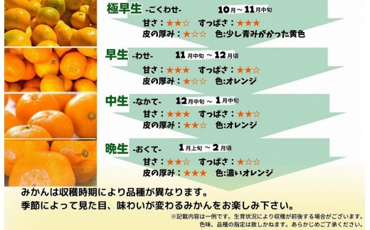 和歌山県有田川町のふるさと納税 ［先行予約］訳あり それでも 熟成みかん 箱込2.5kg ( 内容量 2.3kg ) サイズミックス Ｂ品 有田みかん 和歌山県産 産地直送 家庭用 【みかんの会】