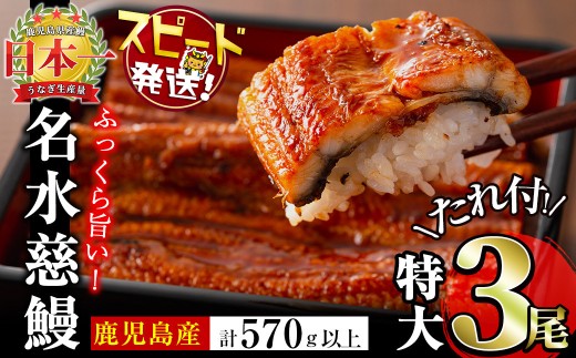 鹿児島県産うなぎ蒲焼 名水慈鰻 特大3尾(1尾190g以上)＜計570g以上＞　うなぎ 鰻 ウナギ 3尾 国産 蒲焼 かばやき 冷凍 真空 真空パック 無頭 うな重 ひつまぶし タレ 山椒 b1-023