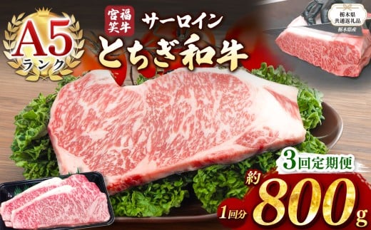 【栃木県共通返礼品】【定期便3回】宮福笑牛(とちぎ和牛) A5 サーロインステーキ　約200gx4枚  | 黒毛 和牛 牛肉 焼肉 とろける 霜降り 赤身 切り落とし ふるさと 納税 イチオシ おすすめ 栃木県 下野市 しもつけ市
