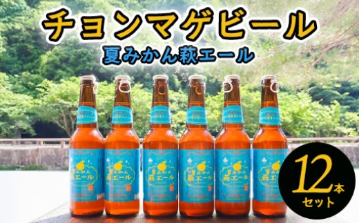 城下町・萩の地ビール/夏みかん萩エール12本セット |HG0005-B 2164133 - 山口県萩市