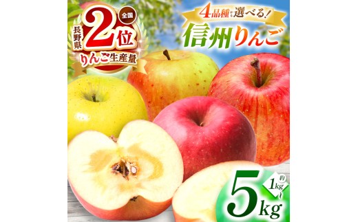 [先行受付]選べる品種!信州産 りんご(単品 or セット)[9月上旬頃から順次発送] | 果物 くだもの フルーツ 林檎 りんご リンゴ シナノゴールド シナノスイート ぐんま名月 サンふじ お好み 信州産 長野県 塩尻市 | 寄付額 6500円〜