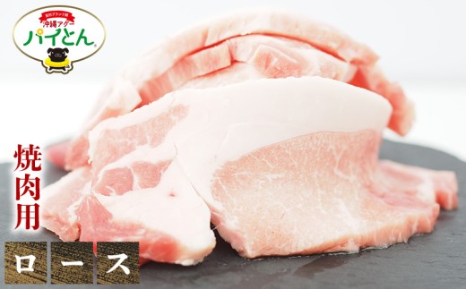 アグー豚　パイとん　焼肉用【ロース】600g あぐー アグー あぐー豚肉 アグー肉 バラ肉 パイとん 真空パック 選べる ブランド豚 パイン 焼肉 肉巻き 豚汁 沖縄北斗 とんかつ 沖縄の豚肉 ヤンバル やんばる 沖縄 東村