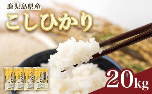 【精米】令和7年産新米 先行受付 大崎産「コシヒカリ」20kg 2193885 - 鹿児島県大崎町