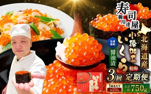 【3回定期便】 北海道加工 いくら醤油漬 約250g（1パック）×3回 計約750g いくら醤油漬け いくら イクラ 醤油漬 醤油漬け 冷凍