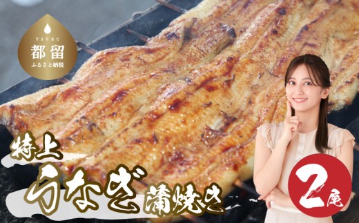 うなぎの蒲焼(半カット)2尾 380g以上 湯煎 温めるだけ 冷凍 真空パック 人気 お試し ウナギ 鰻 うな重 かば焼き ご馳走