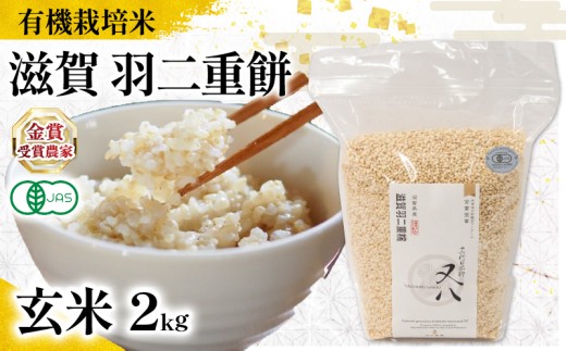 [ オーガニック米 ] 新米 羽二重餅 玄米 2kg( 令和7年産 先行予約 有機JAS 認証米 オーガニック米 有機栽培米 玄米 お米 十六代目米師又八 謹製 ブランド 米 rice ご飯 内祝い もちもち 国産 送料無料 滋賀県 竜王 ふるさと納税 )