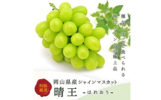 岡山県産 シャインマスカット『晴王』1房(800g以上) 化粧箱入り【1499105】