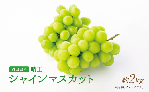 【岡山県産】晴王 シャインマスカット 約2.0kg以上 【2025年9月上旬〜11月下旬発送予定】 マスカット ぶどう ブドウ 葡萄