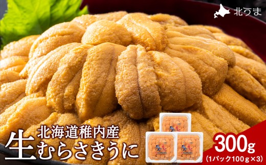 【うにの名産地稚内市】最北端の生むらさきうに(100gパック×3)