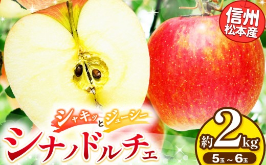 信州松本産　シナノドルチェ　５～６玉約２kg │ 林檎 りんご リンゴ シナノドルチェ 果汁 果物 貴重 くだもの フルーツ 自然 旬 ご褒美 長野県 信州 松本 ふるさと納税 2245740 - 長野県松本市