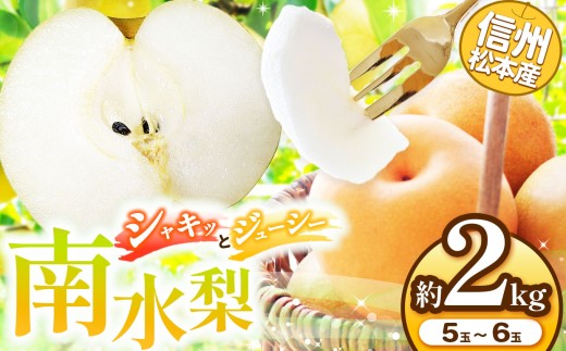 信州松本産 南水梨 5~6玉約2kg │ 梨 なし ナシ 南水 南水梨 果汁 果物 秋 くだもの フルーツ 自然 旬 ご褒美 長野県 信州 松本 ふるさと納税 2245738 - 長野県松本市