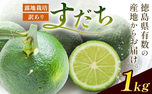 佐那河内名産 訳あり B級 露地栽培 すだち 1kg 露地すだち スダチ 一般財団法人さなごうち《9月中旬-11月上旬頃出荷》徳島県 佐那河内村 送料無料 スダチ 露地 魚 豆腐 冷奴 焼き魚 天ぷら 刺身 徳島県産 1364828 - 徳島県佐那河内村