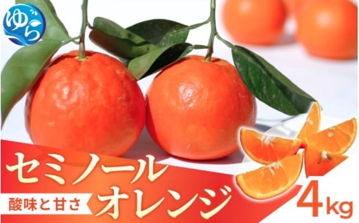 【来シーズン先行予約】セミノール 4kg   ※2026年4月上中旬～順次発送 /  みかん 晩柑 人気 柑橘 スマイルカット  蜜柑 フルーツ 果物 くだもの 食品 人気 おすすめ 送料無料 産地直送 和歌山県 由良町【kzmn024】