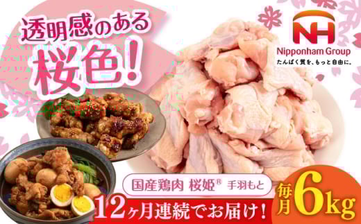 【全12回定期便】桜姫 手羽もと 計6kg（2kg×3パック）《厚真町》【東日本フード株式会社】 桜姫 国産鶏肉 鶏肉 鶏 とり肉 手羽元  冷凍 北海道 [AXBM124]