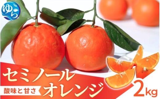 【来シーズン先行予約】セミノール 2kg   ※2026年4月上中旬～順次発送 /  みかん 晩柑 人気 柑橘 スマイルカット  蜜柑 フルーツ 果物 くだもの 食品 人気 おすすめ 送料無料 産地直送 和歌山県 由良町【kzmn023】