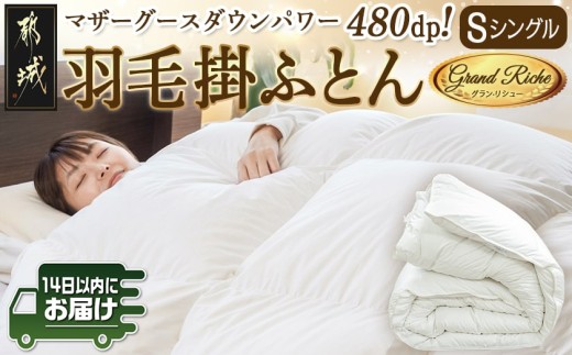 羽毛掛ふとん ポーランド産マザーグース95%480dp【S】≪みやこんじょ快速便≫_MD-E101-R_(都城市) 羽毛布団 寝具 抗菌防臭加工 ダウン SEKアレルGプラス加工 日本製 掛け布団 シングル