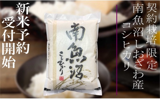 【新米予約・令和7年産】定期便12ヶ月：精米5Kg 契約栽培限定 南魚沼しおざわ産コシヒカリ【2025年10月上旬より順次発送予定】 1395001 - 新潟県南魚沼市