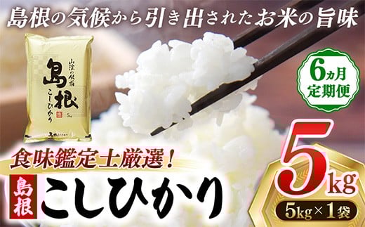 【新米 先行受付】【定期便 6か月】食味鑑定士厳選　島根こしひかり 5kg（5kg×1袋）【白米 コシヒカリ 令和7年産 先行予約 新米予約 精米 島根県 安来市】