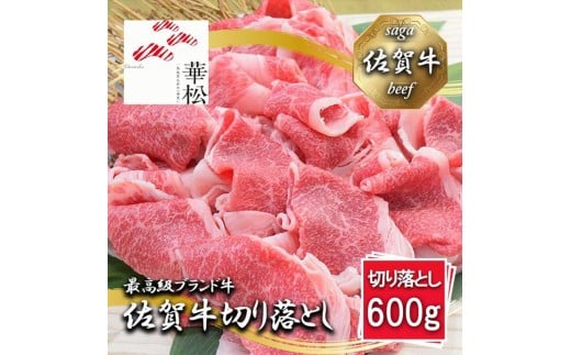BL093_【冷凍】佐賀牛切り落とし600g(300g×２パック）
