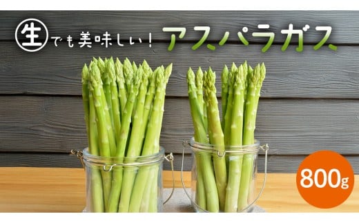 茨城県産 アスパラガス 800g 野菜 新鮮 フレッシュ 産地直送 農家直送 オーガニック BBQ バーベキュー キャンプ Freedom Farm フリーダムファーム[FK001sa]