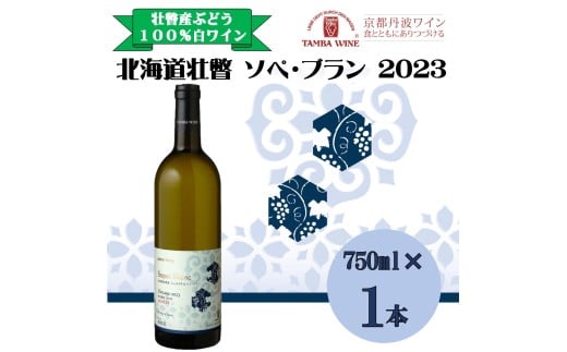 北海道壮瞥産 ソペ・ブラン2023(辛口白ワイン) 750ml 【 ふるさと納税 人気 おすすめ ランキング 北海道 壮瞥 ワイン シャルドネ ピノ・ブラン ぶどう 葡萄 酒 白 辛口 贈り物 贈物 贈答 ギフト 大容量 詰合せ セット 北海道 壮瞥町 送料無料 】 SBTA084
