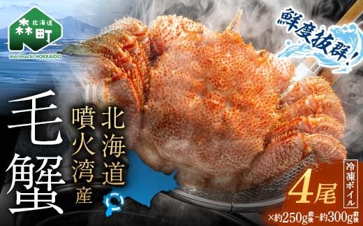【訳あり】北海道・噴火湾産冷凍ボイル毛ガニ約250g前後～約300g前後×4尾 毛ガニ 毛カニ 蟹 かに かにみそ 海産物 海鮮 森町 mr1-1047