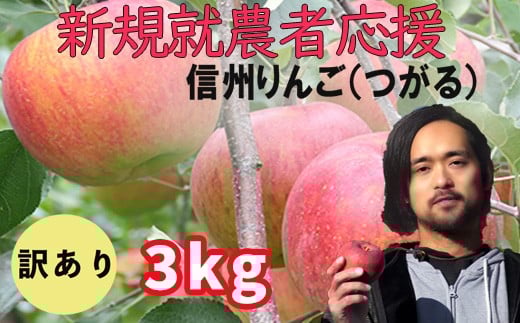 新規就農者応援 りんご （サンつがる） 訳あり 3㎏ 数量限定 先行予約 伊藤快 果物 フルーツ 家庭用