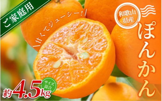 【家庭用】 森本農園の手選別 ポンカン 約4.5kg 和歌山県産 サイズ混合 【北海道・沖縄・離島配送不可】【2026年1月上旬～2月上旬頃に順次発送】【RN12】 1394063 - 和歌山県かつらぎ町