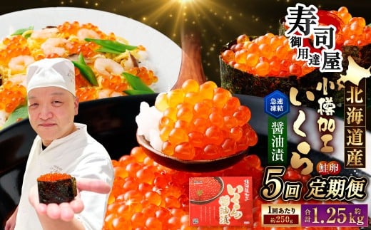 【5回定期便】 北海道加工 いくら醤油漬 約250g（1パック）×5回 計約1.25kg いくら醤油漬け いくら イクラ 醤油漬 醤油漬け 冷凍