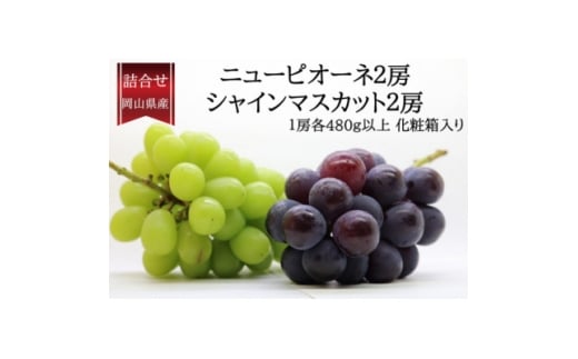 岡山県産詰合/ニューピオーネ2房(1房480g以上)・シャインマスカット晴王2房(1房480g以上)【1499106】