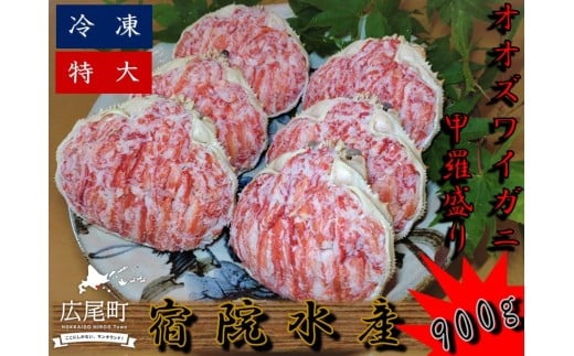 オオズワイガニの甲羅盛り（特大）150g×6個　合計900g【カニ　かに　蟹　ズワイガニ　海産物　北海道　十勝　広尾】(G0015)