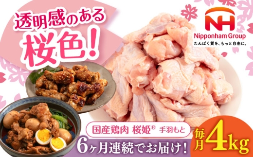 【全6回定期便】桜姫 手羽もと 計4kg（2kg×2パック）《厚真町》【東日本フード株式会社】 桜姫 国産鶏肉 鶏肉 鶏 とり肉 手羽元  冷凍 北海道 [AXBM116] 2193527 - 北海道厚真町