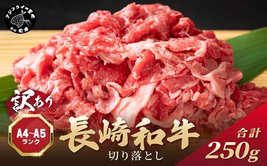 訳あり！【A4～A5】長崎和牛切り落とし250g( 牛肉 おすすめ 長崎和牛 バーベキュー 焼肉 切り落とし 冷凍 国産 送料無料 赤身 )【A6-036】