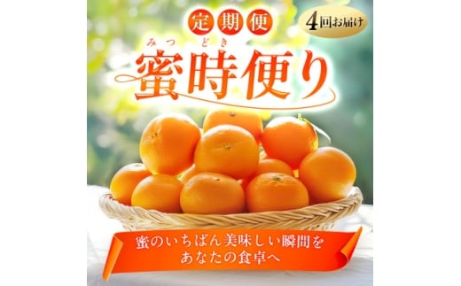 ＜発送月固定定期便＞「蜜時(みつどき)便り」愛媛限定のまどんなや甘平も届きます＜H64-92＞全4回【4069712】